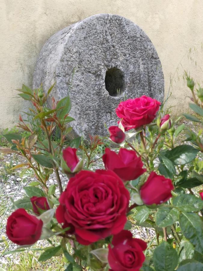 Il Giardino Di Julia B&B Tortora Eksteriør billede