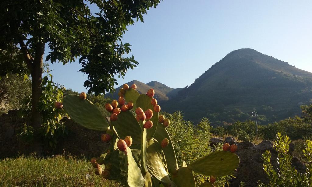Il Giardino Di Julia B&B Tortora Eksteriør billede
