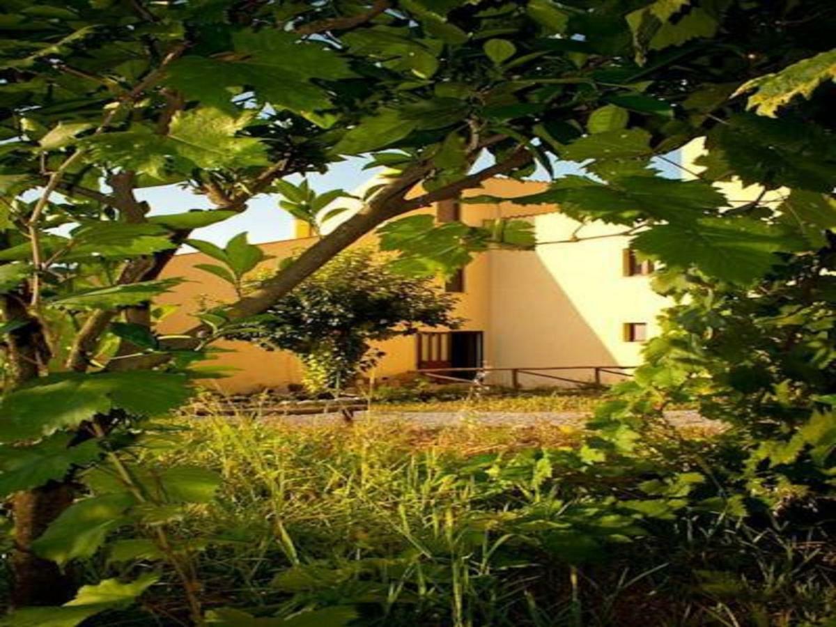 Il Giardino Di Julia B&B Tortora Eksteriør billede