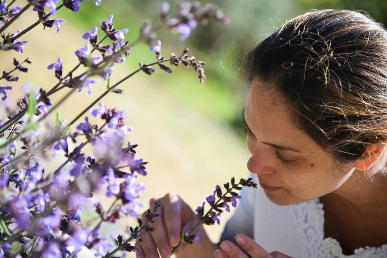 Il Giardino Di Julia B&B Tortora Eksteriør billede
