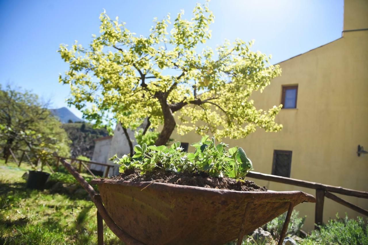 Il Giardino Di Julia B&B Tortora Eksteriør billede